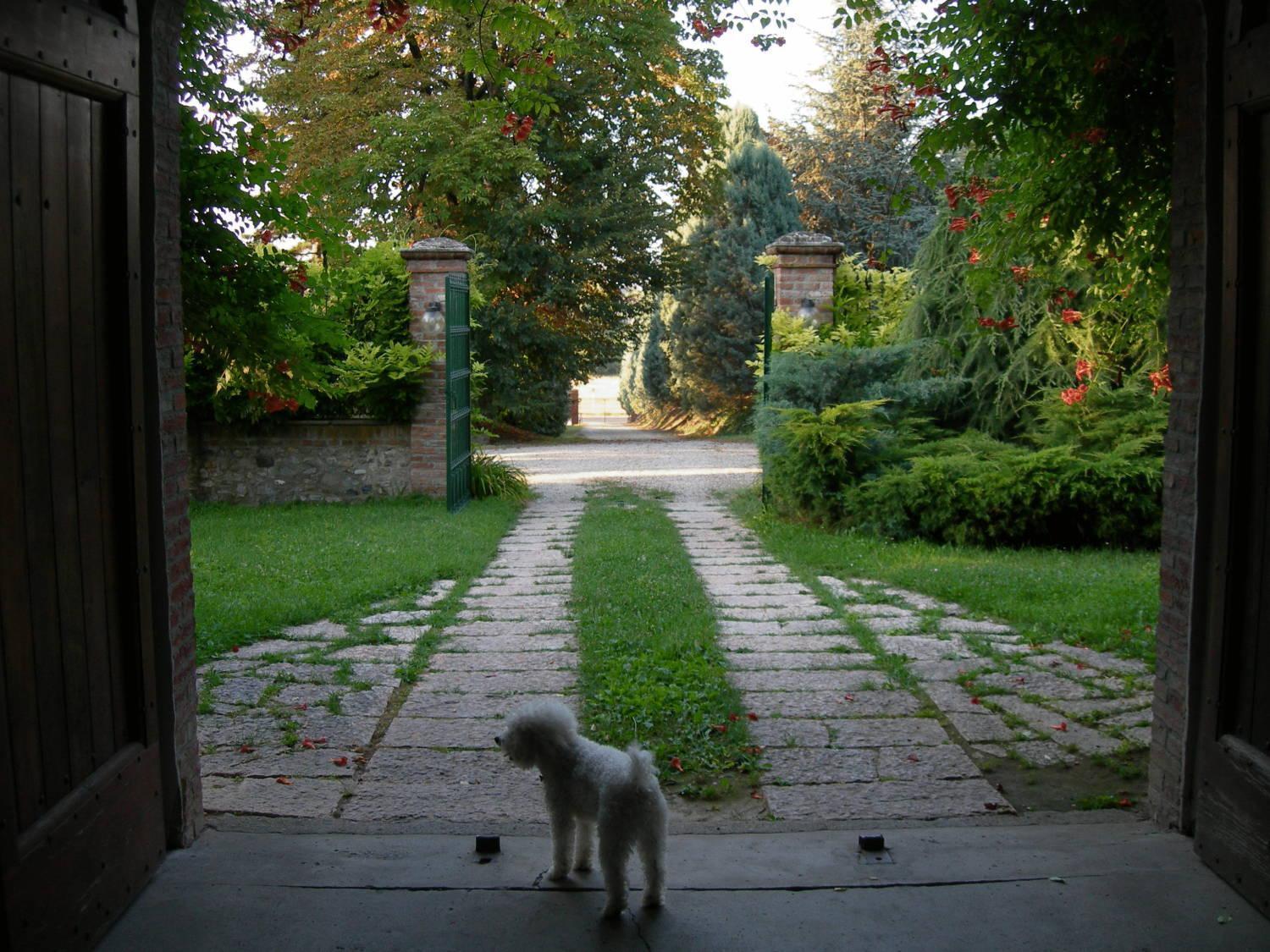 Tenuta Terensano Monleale Buitenkant foto
