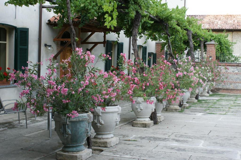Tenuta Terensano Monleale Buitenkant foto