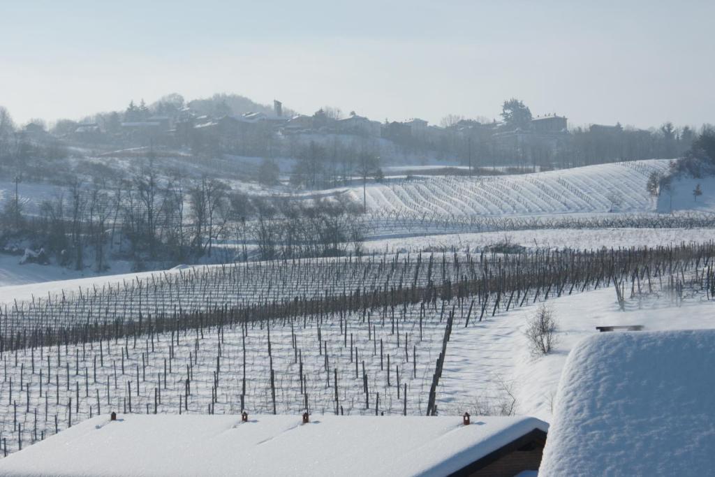 Tenuta Terensano Monleale Buitenkant foto