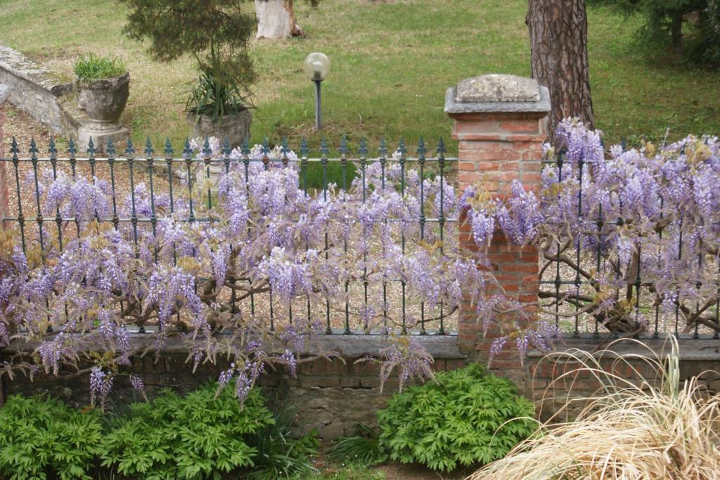 Tenuta Terensano Monleale Buitenkant foto