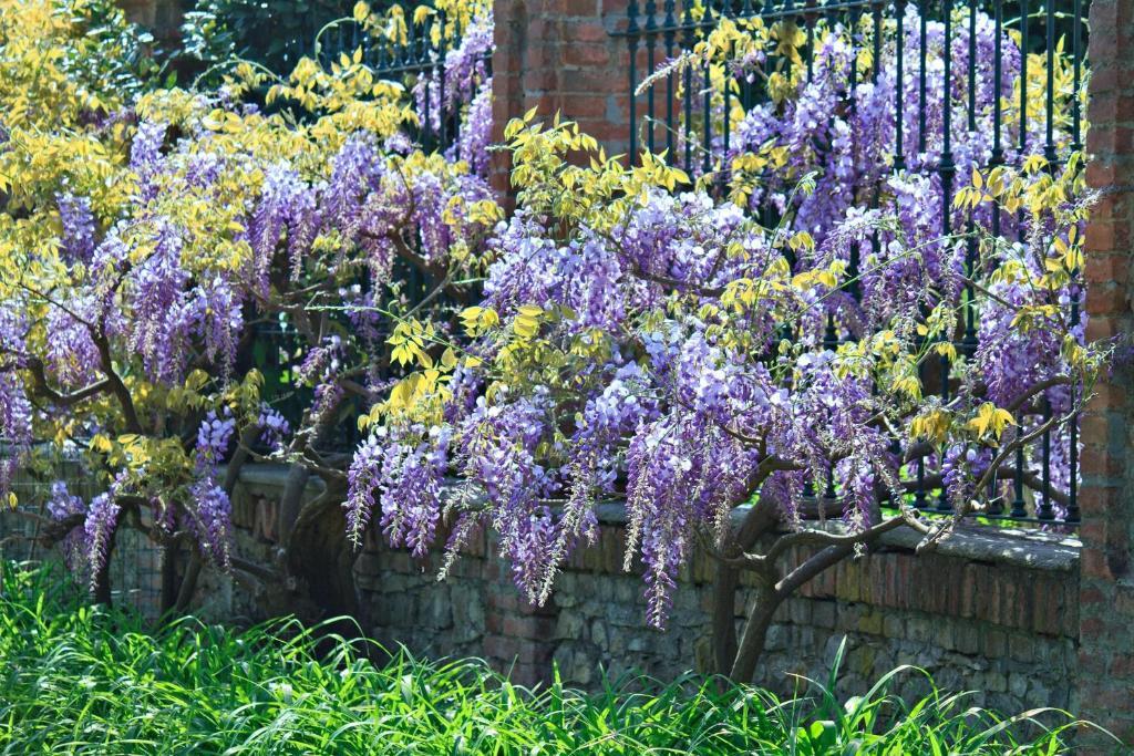 Tenuta Terensano Monleale Buitenkant foto